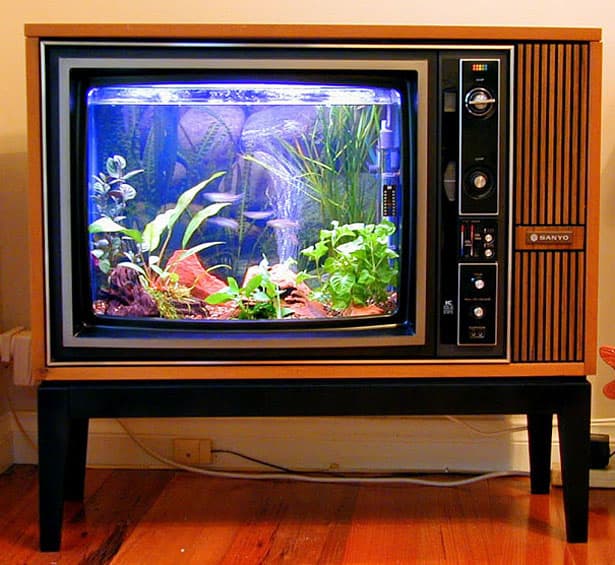 aqarium-tv