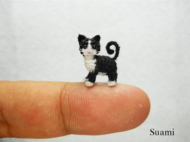 black-and-white-cat