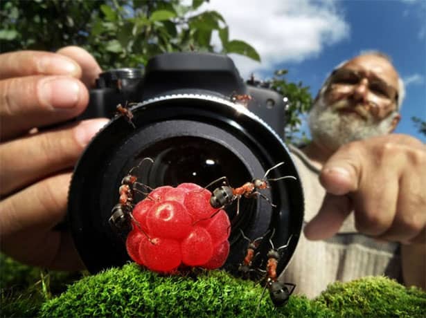 pavlov-fotograf