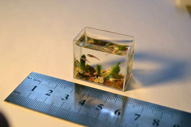 Miniatúrna sklenená kocka