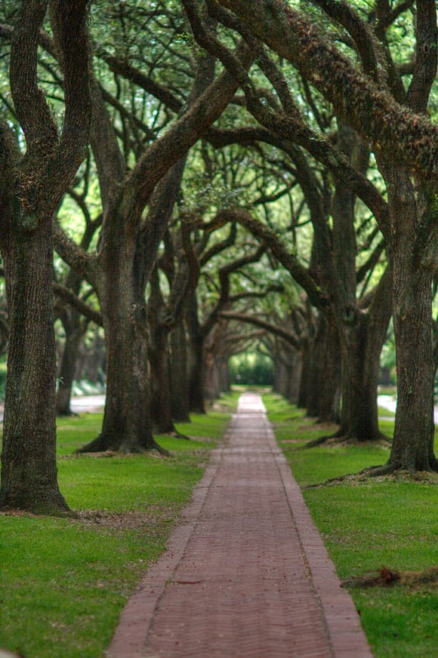 park