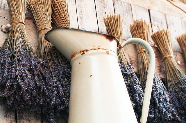 lavender-570572_640