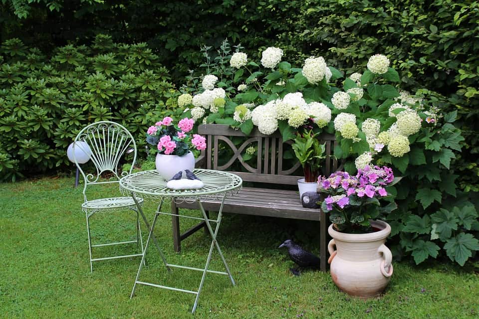 garden-948559_960_720