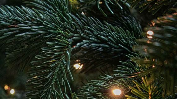 3D vianočný stromček